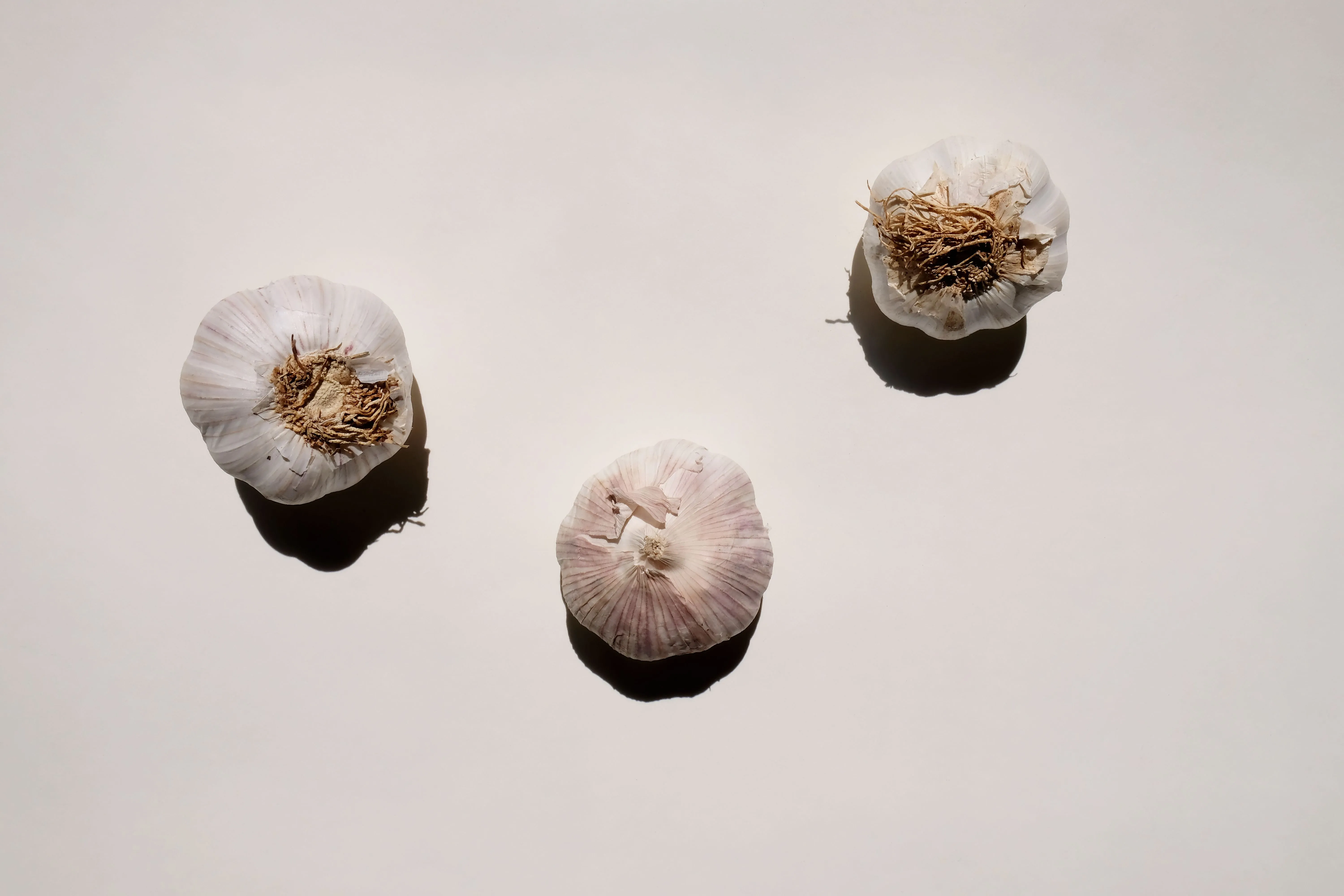How to Grow Garlic: Autumn Planting to Summer Harvest (2026)
