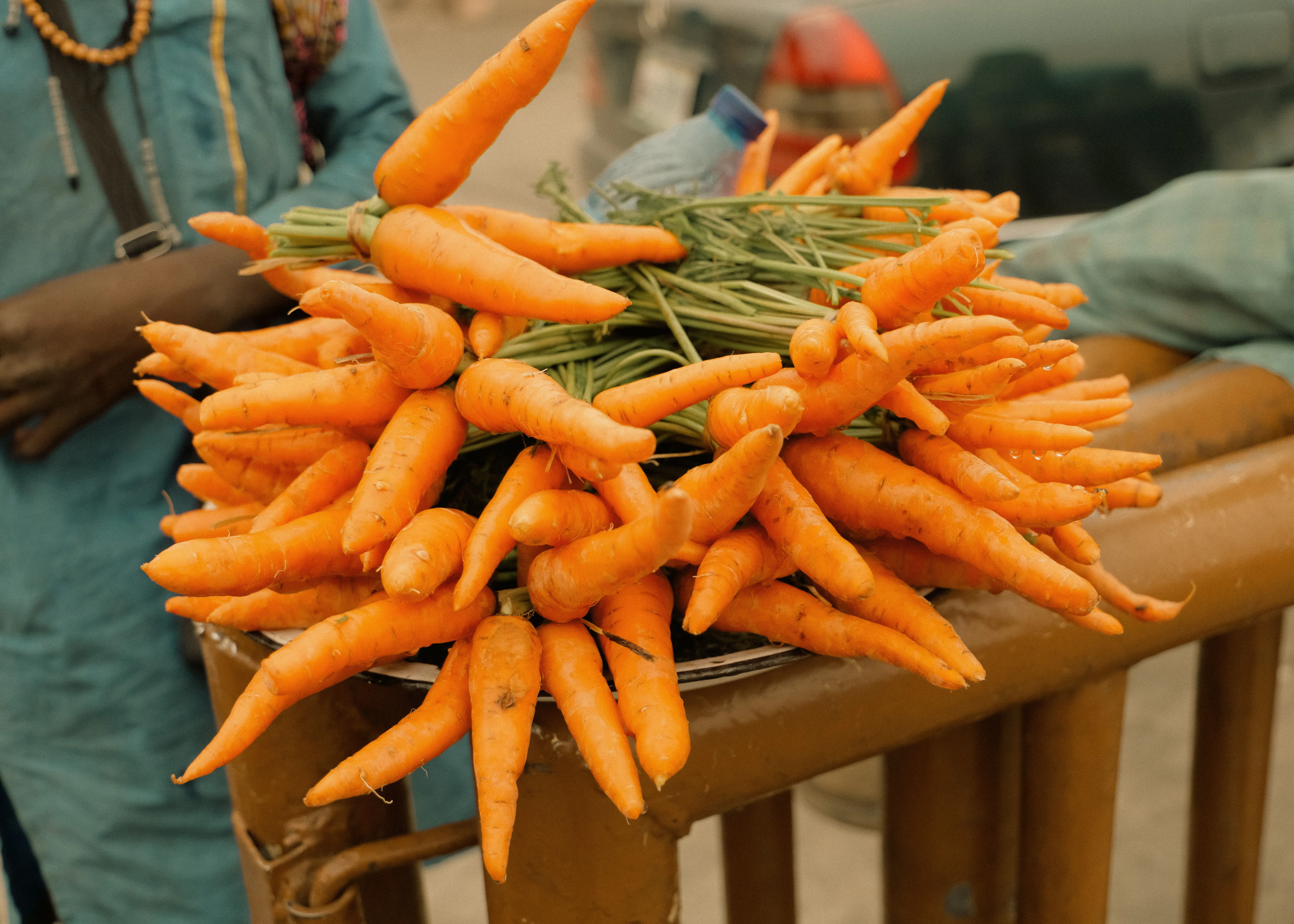 How to Grow Carrots: Sowing, Thinning & Harvest Guide (2026)
